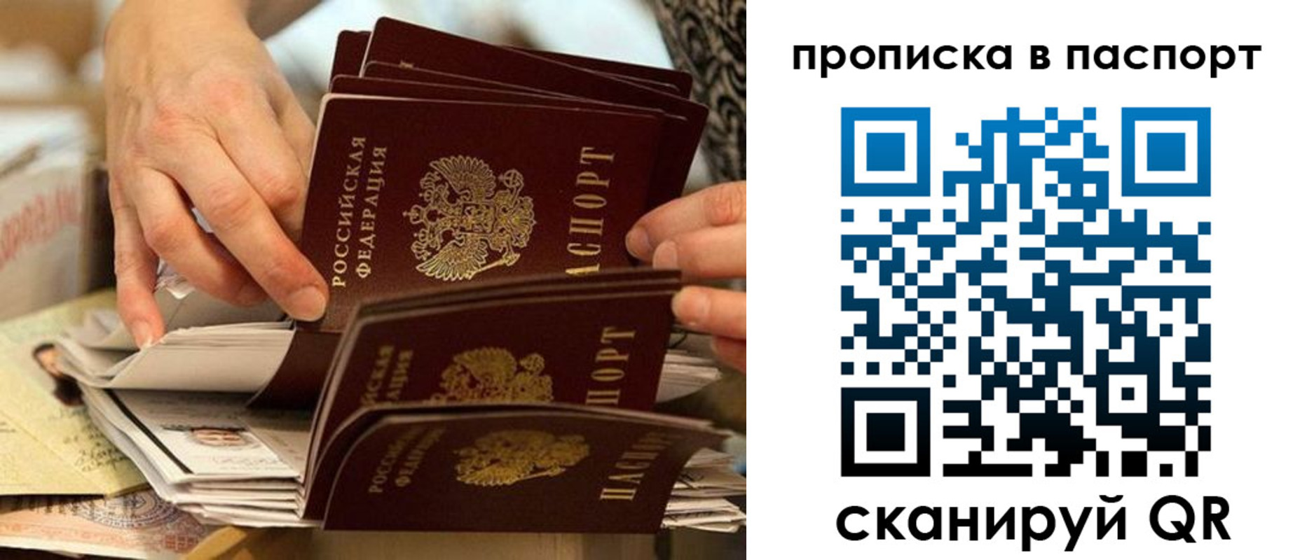 прописка законно в Камышине