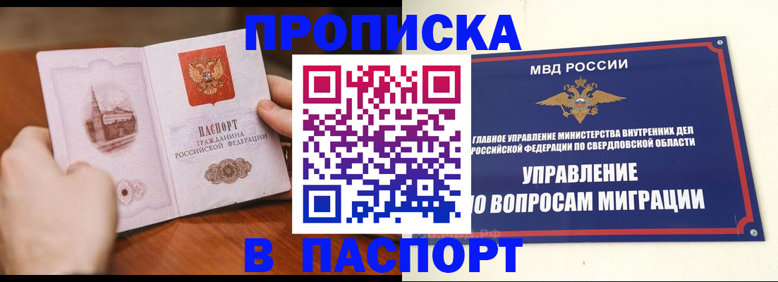 прописка гарантия в Камышине